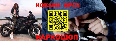 крисы Кулебаки