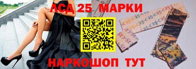 крисы Кулебаки