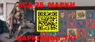крисы Кулебаки