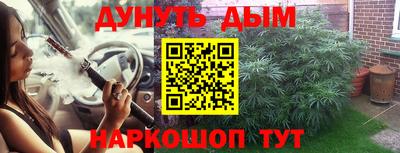 крисы Кулебаки