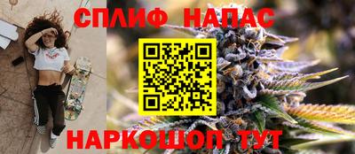 крисы Кулебаки