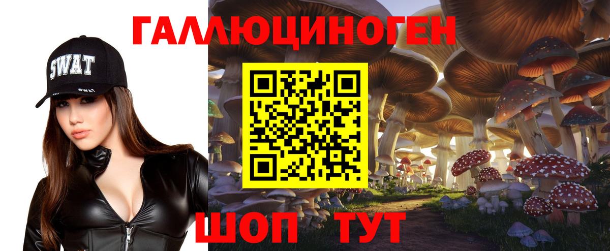 Тула  Галлюциногенные грибы Cubensis  Вход с VPN 